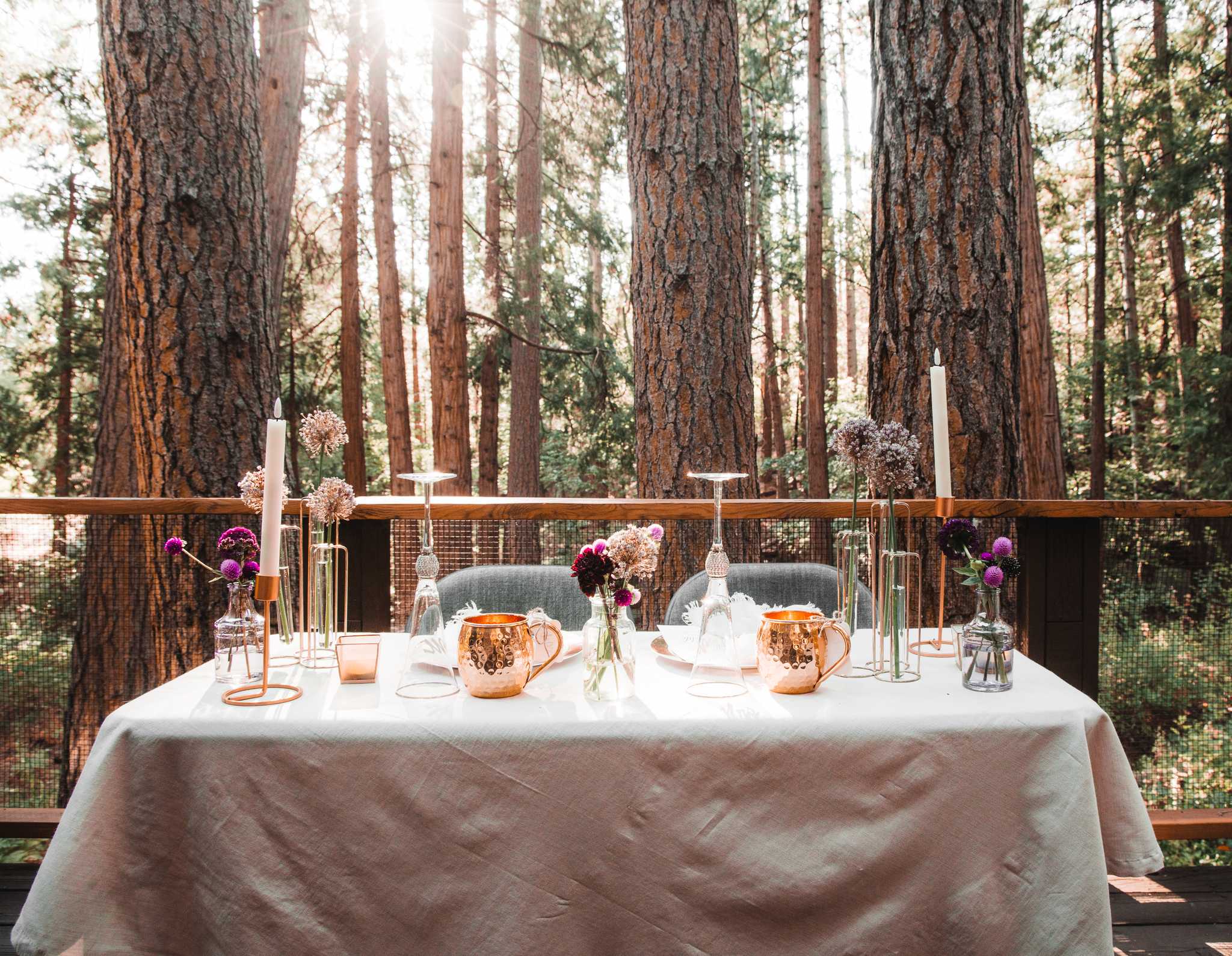 Erika's and Ken's Reception, Idyllwild, California