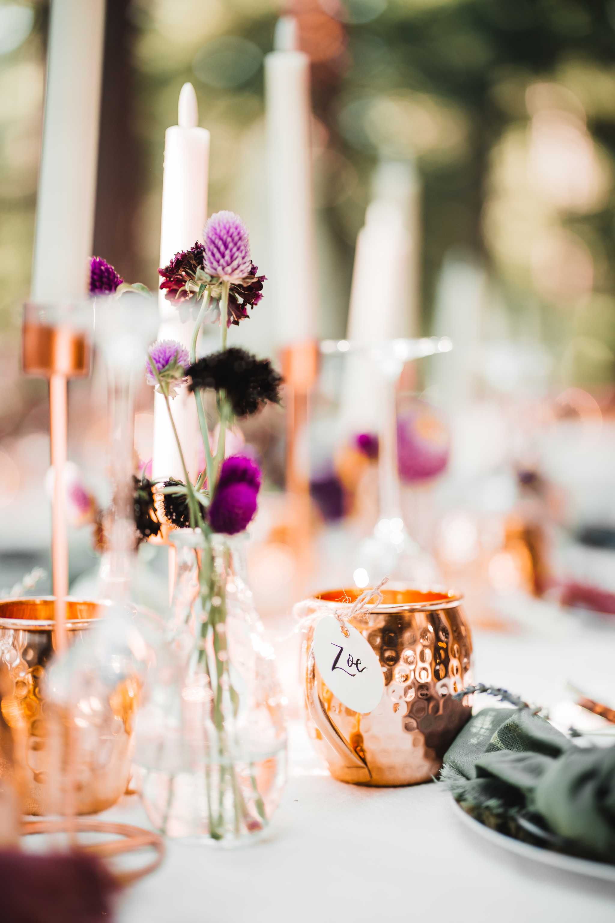 Erika's and Ken's Reception, Idyllwild, California