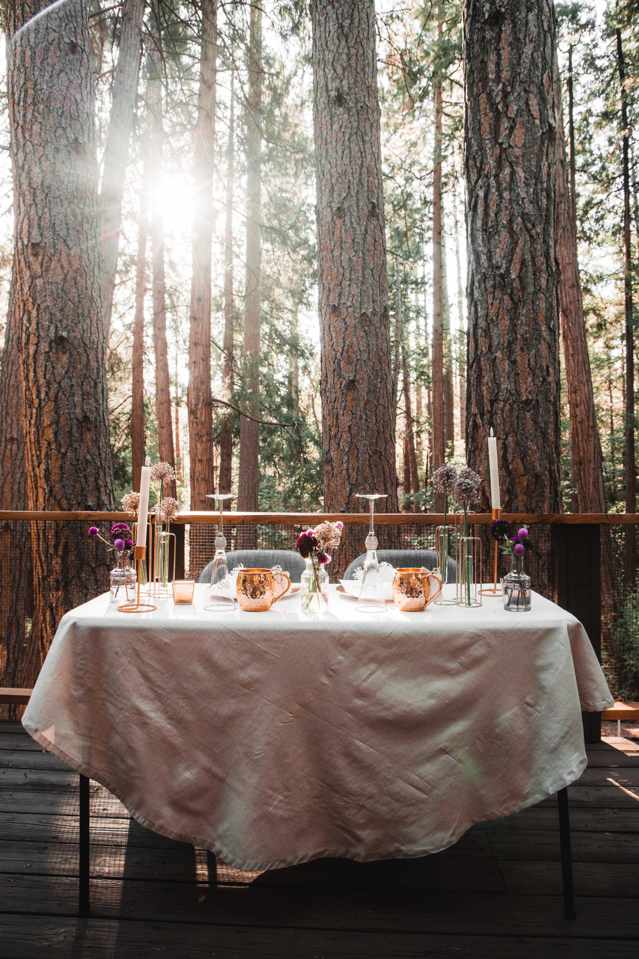 Erika's and Ken's Reception, Idyllwild, California