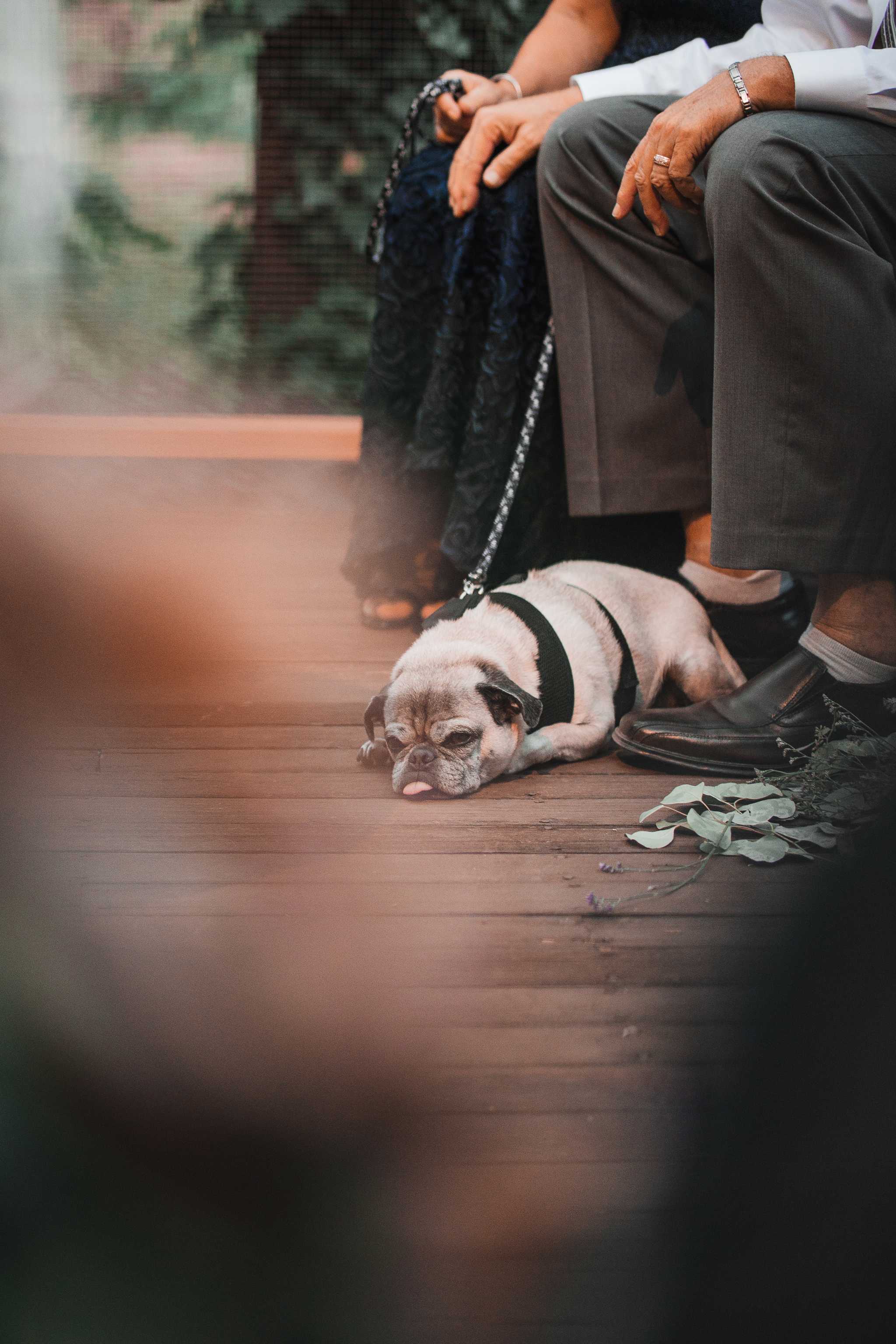 Erika's and Ken's Ceremony, Idyllwild, California