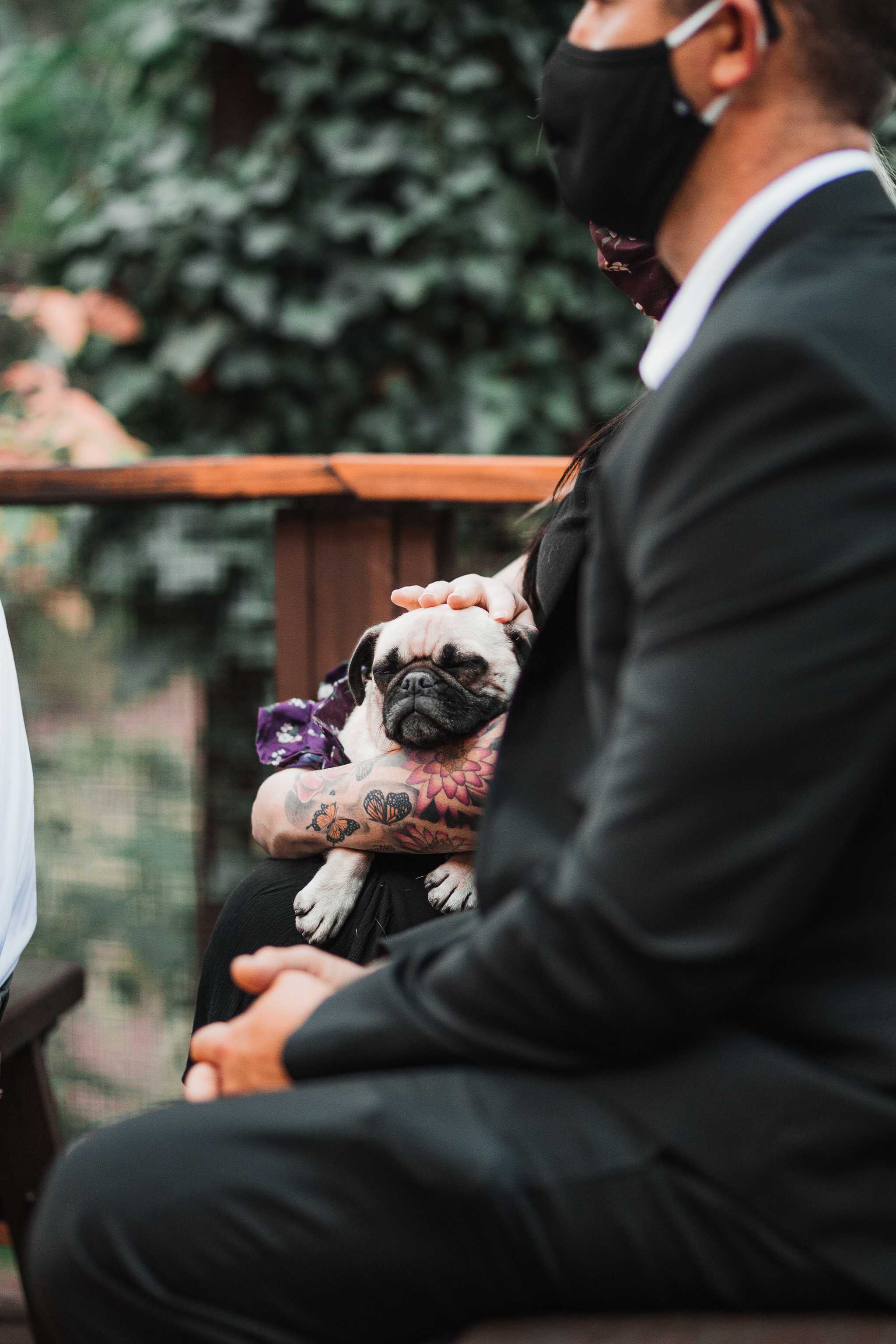 Erika's and Ken's Ceremony, Idyllwild, California