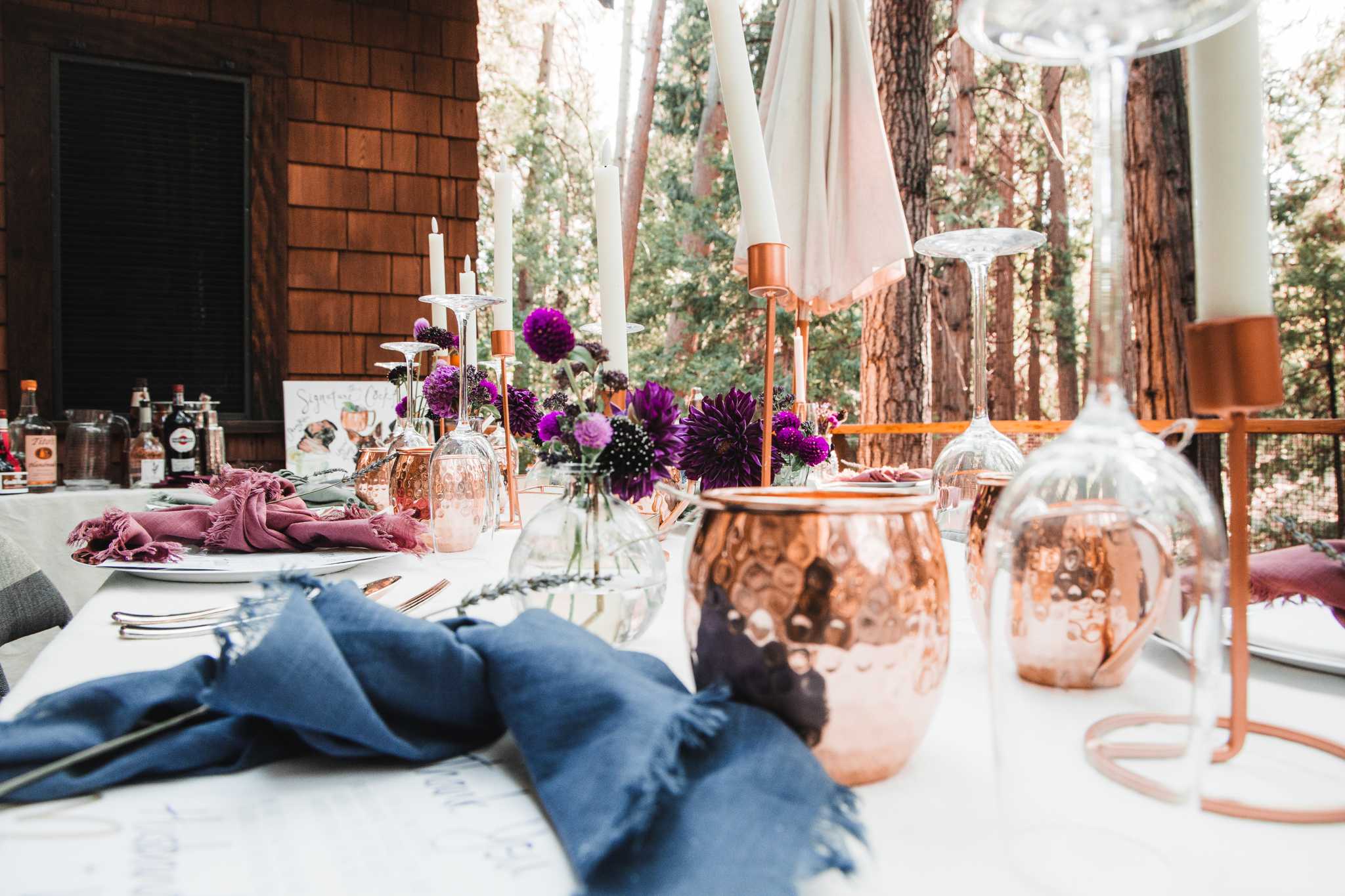 Erika's and Ken's Reception, Idyllwild, California