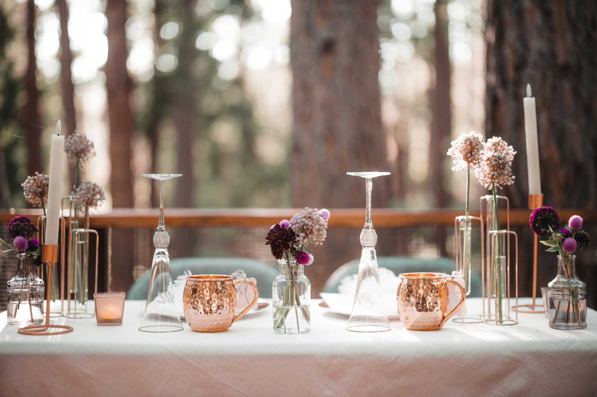 Erika's and Ken's Reception, Idyllwild, California