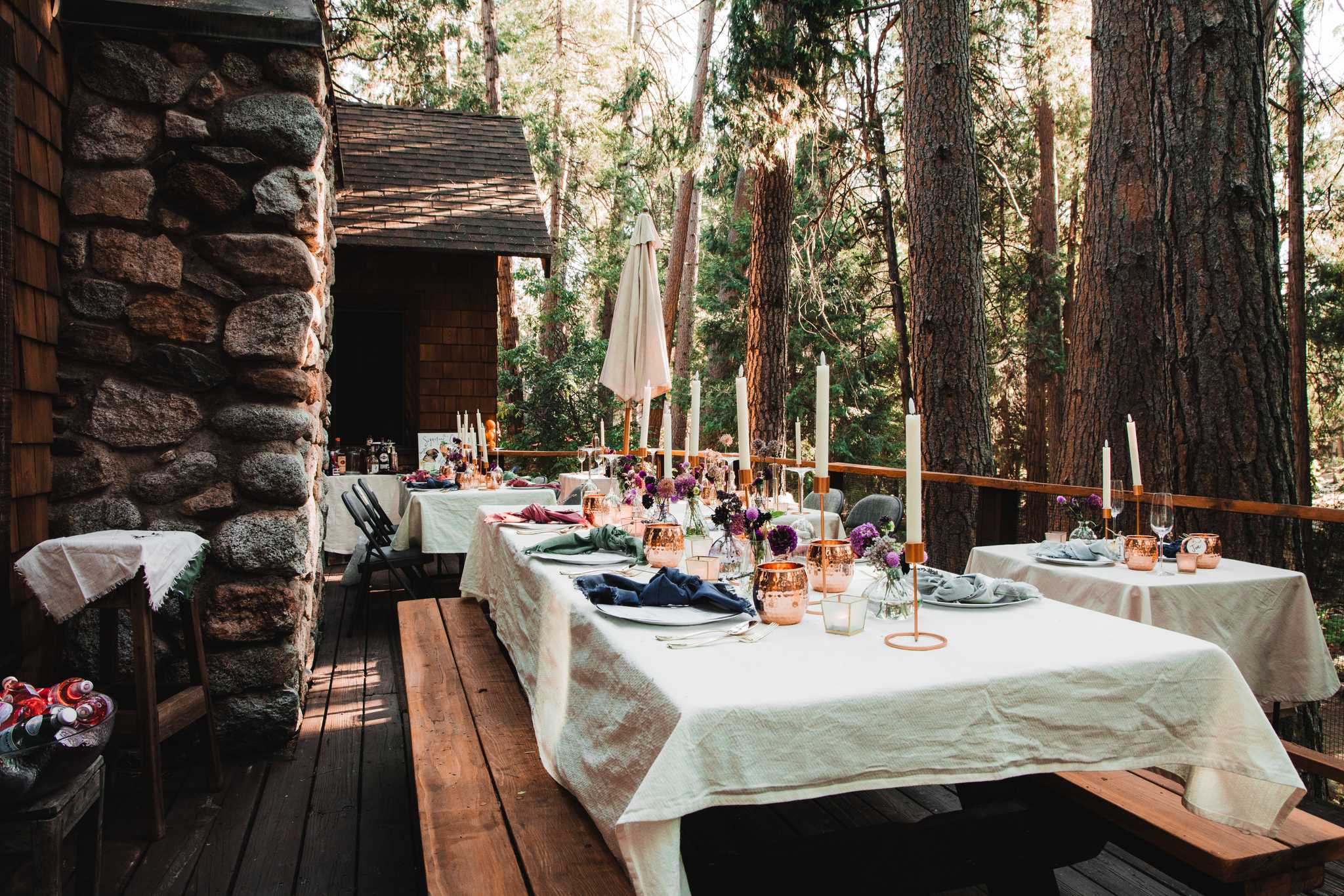 Erika's and Ken's Reception, Idyllwild, California